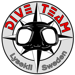 logo dive team 2017 röd float LAYER