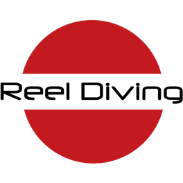 reel diving logo outline