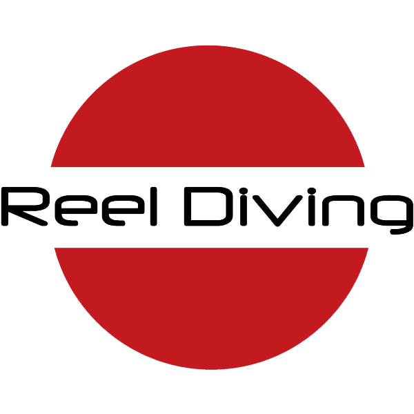 reel diving logo outline